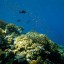 Voyage Plong�e Sous Marine