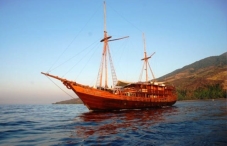 MSY Damai II