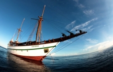 Tambora Tambora
