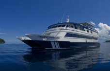 Rock Island Aggressor (Tropic Dancer) Rock Island Aggressor (Tropic Dancer)