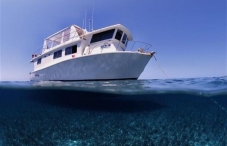 MV La Reina MV La Reina