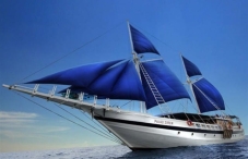 SY Palau Siren SY Palau Siren