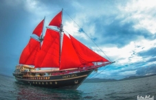 Calico Jack