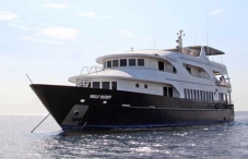 MV Wolf Buddy MV Wolf Buddy