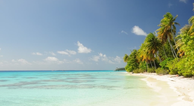 La Plus Belle Plage du Monde?