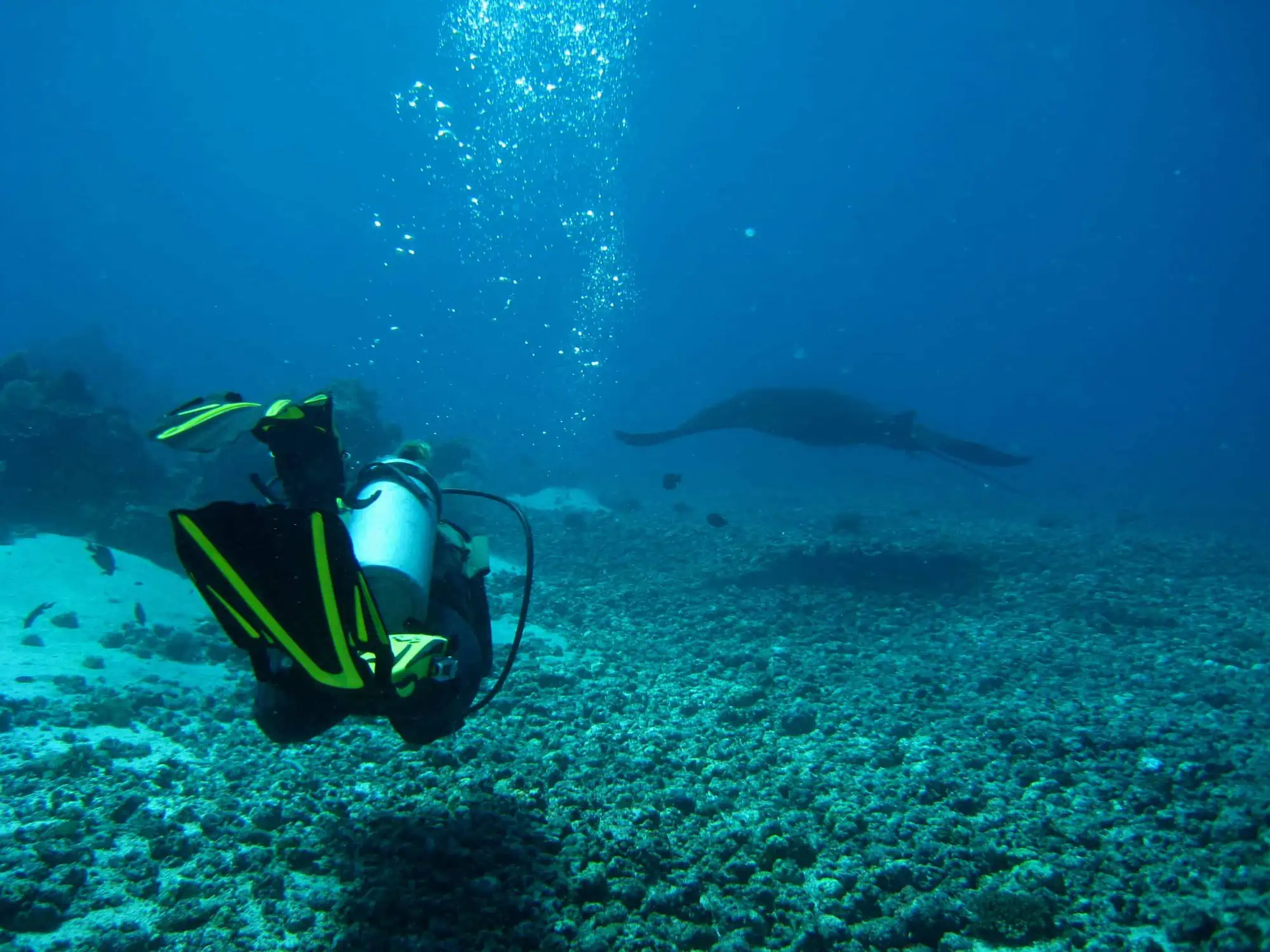 Île Komodo
