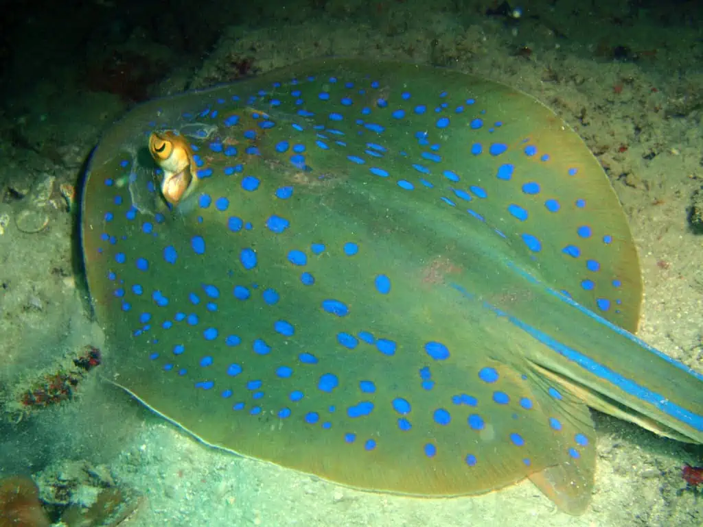 Îles Perhentian
