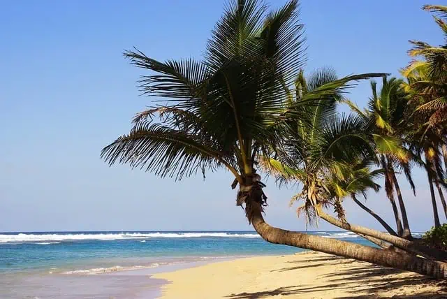 République Dominicaine