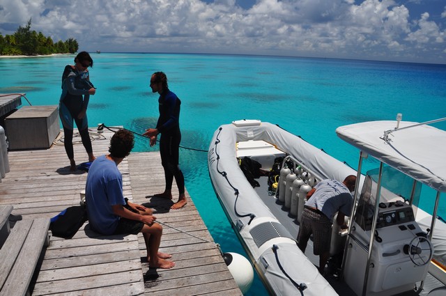 dive club fakarava