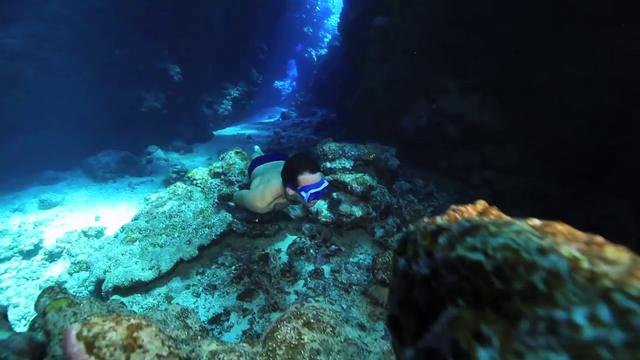 video d'apnee avec requin tigre de pierre frolla