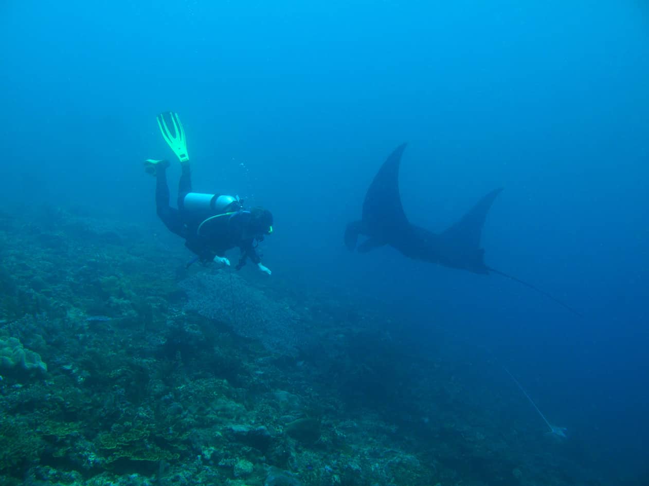 plongee sous marine a raja ampat