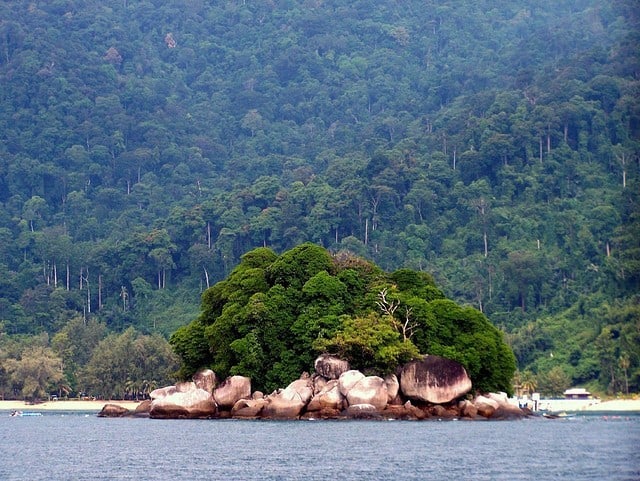 jungle luxuriante sur l'île Tioman en Malaisie