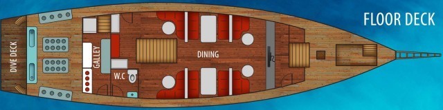 croisière plongée sous-marine à Raja Ampat Indonésie