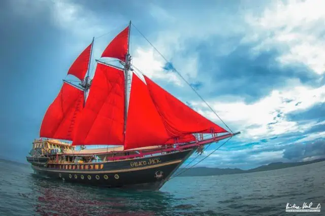 Calico Jack