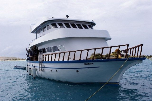 bateaux de croisiere plongee de luxe aux maldives