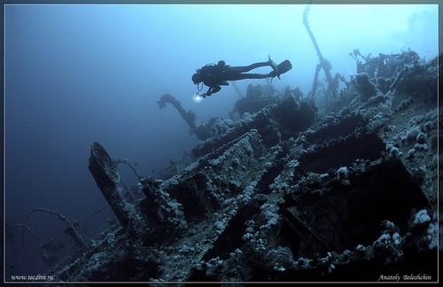 meilleures croisieres plongee sous marine mer rouge