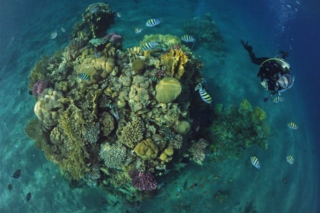 meilleurs sites plongee sous marine a Eilat Jordanie