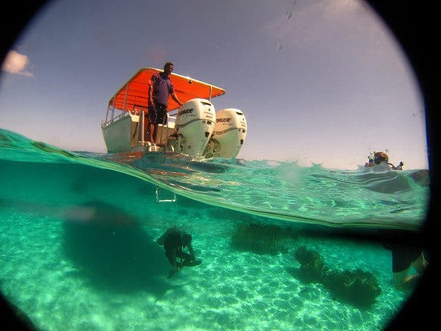 meilleure destination de plongee iles fidji