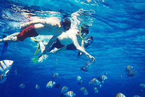 snorkeling scuba diving mayan rivera 