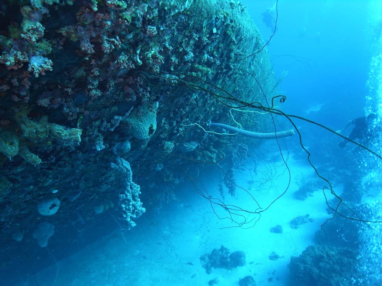 Звук морской глубины. Подводный мир с затонувшим кораблем. Море дайвинг. Исследование морского дна. Атлантический океан подводный мир корабли.