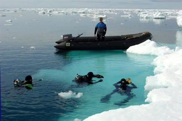 plancius croisiere plongee arctique aventure
