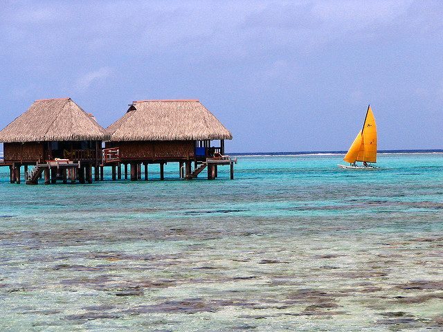 voyage plongee polynesie francaise