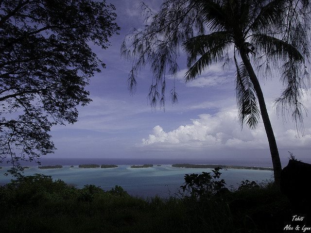 voyage de plongee en polynesie francaise