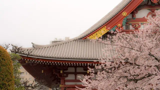 quand voyager au japon