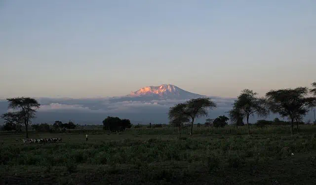 avis voyage tanzanie mont kilimandjaro