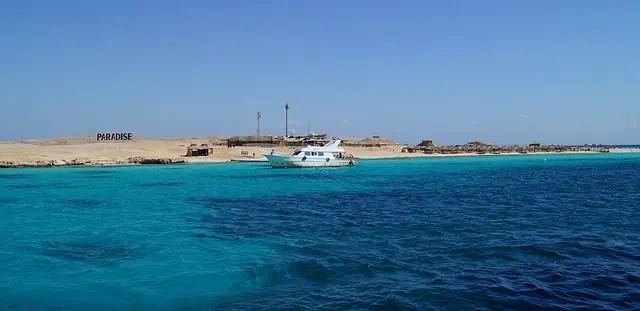 Croisière-plongée sur la Mer Rouge: un incontournable!