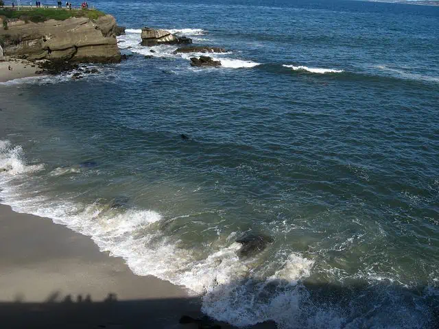 avis plongee sous marine la jolla californie